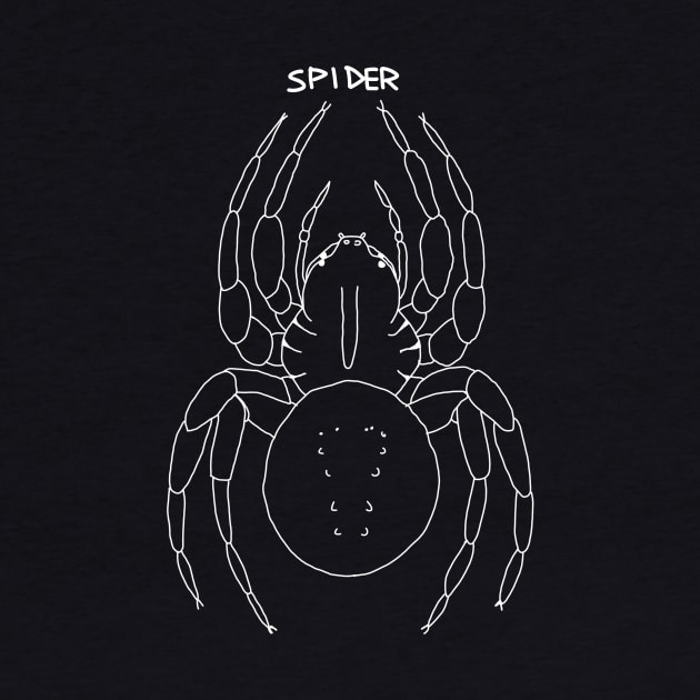 spider by Antho